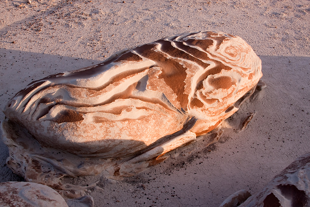 18_Bisti Wilderness__13.jpg